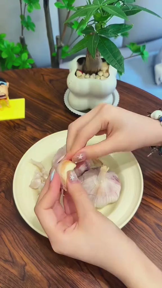Automatic Fruit & Vegetable Peeler | Fast, Precise & Effortless Kitchen Peeling Tool